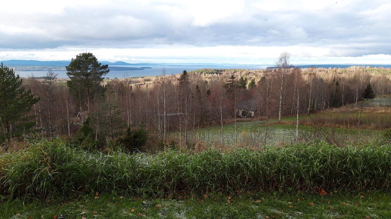 Photo of Others in Tallberg