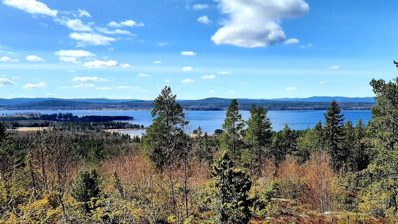 Photo of Others in Tallberg
