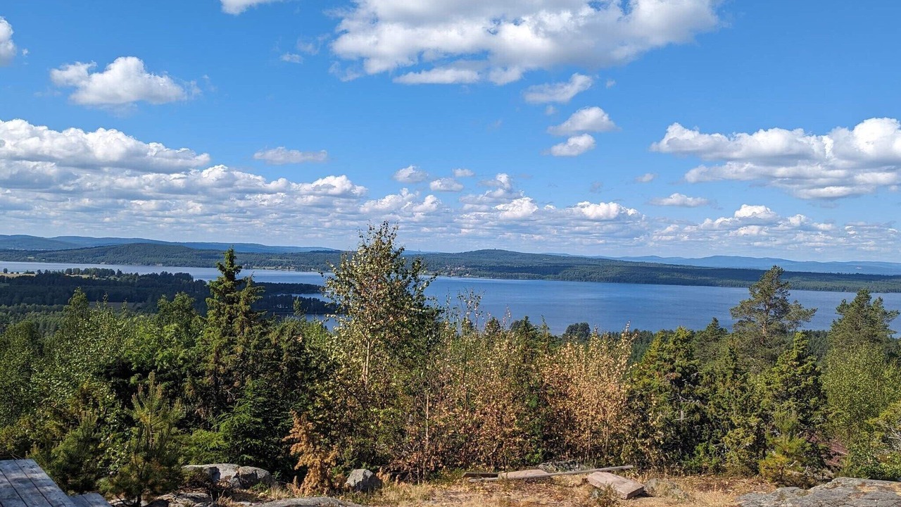 Photo of Others in Tallberg