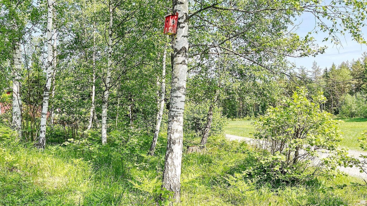 Photo of Outdoor in Sodersvik