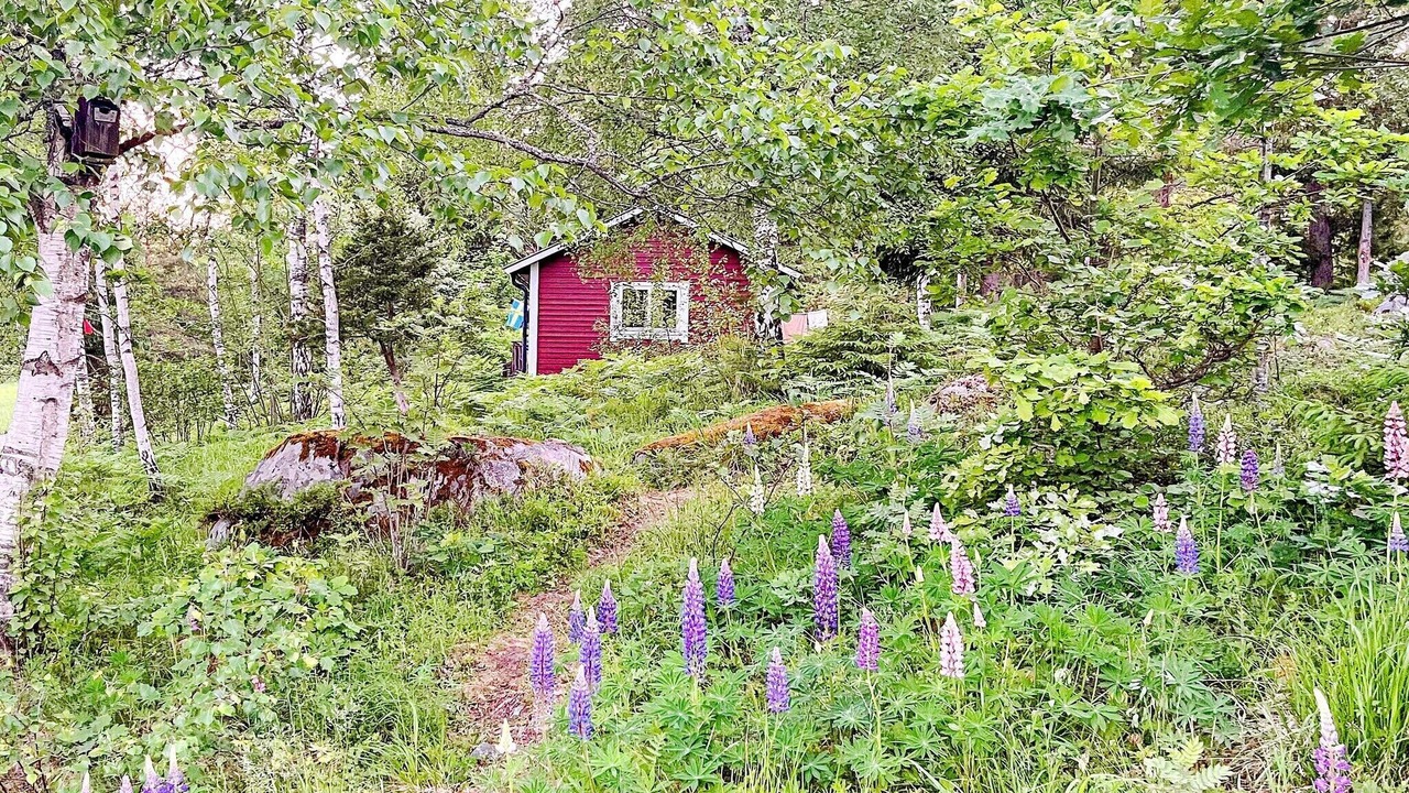 Photo of Outdoor in Sodersvik