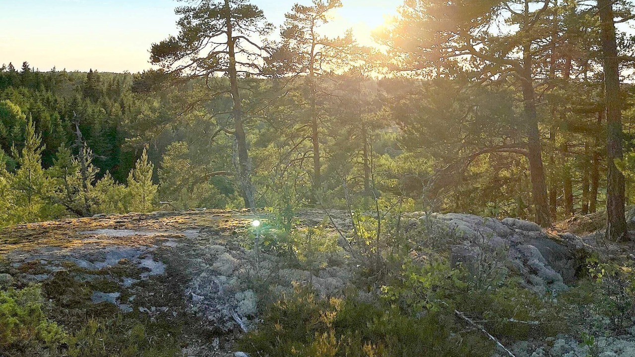 Photo of Others in Sodersvik