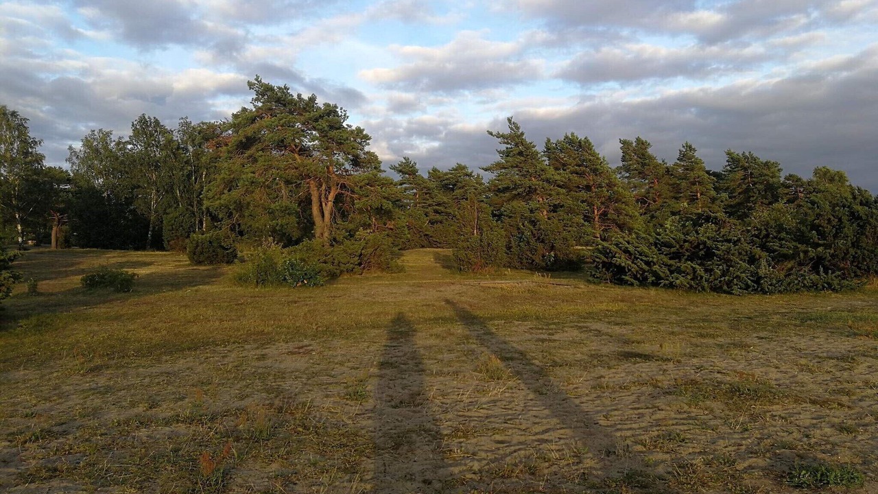 Photo of Others in Stora Fro