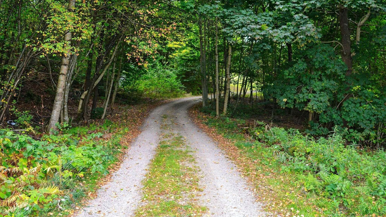 Photo of Outdoor in Vittsjo