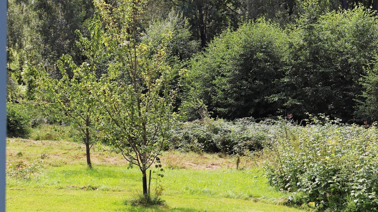 Photo of Outdoor in Sunne Municipality