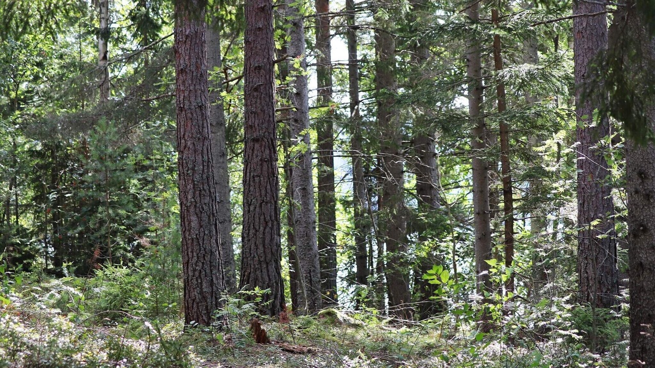 Photo of Others in Sunne Municipality