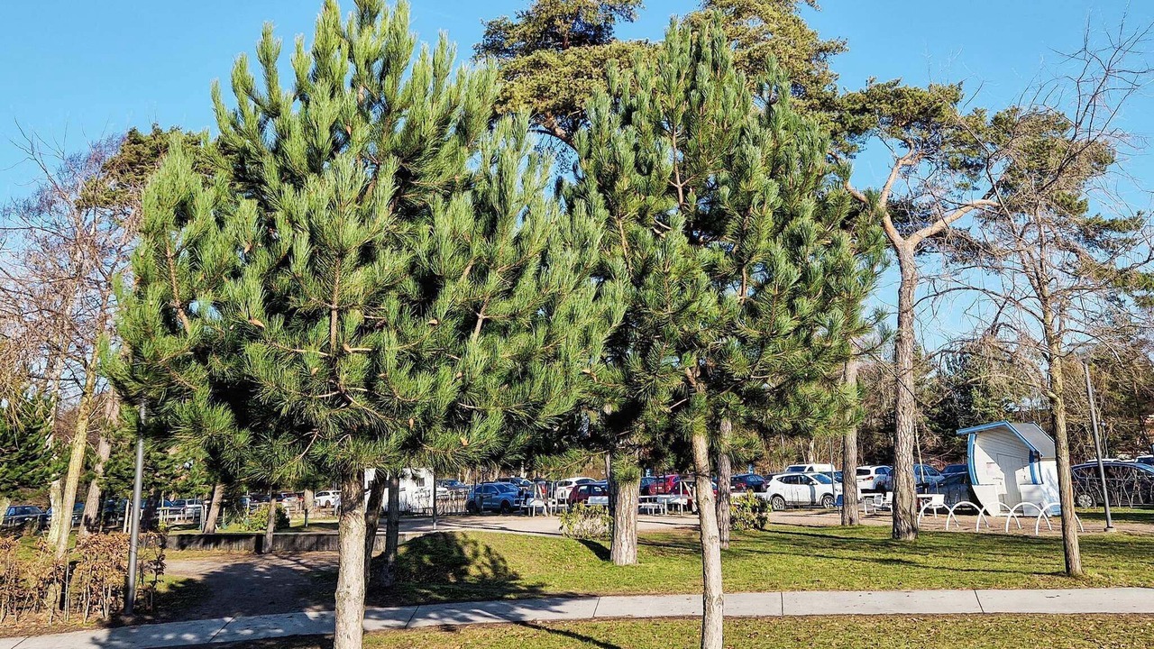 Photo of Outdoor in Hollviken