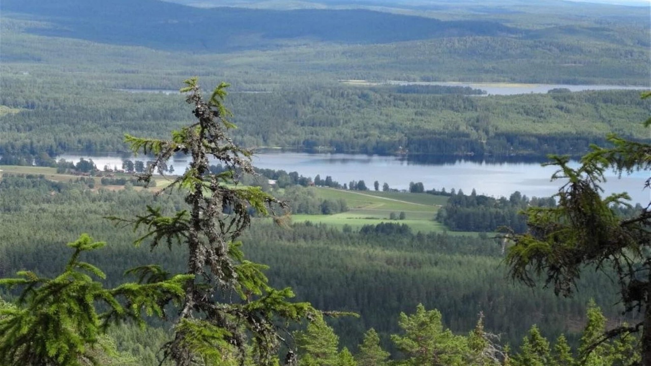 Photo of Outdoor in Overbyn