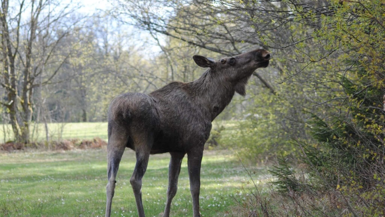 Photo of Outdoor in Overbyn