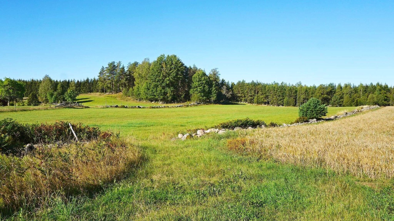 Photo of Others in Vimmerby
