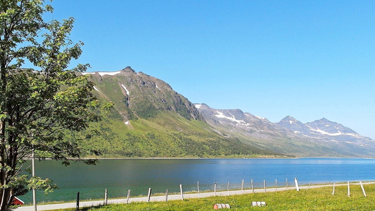 Photo of Others in Skjervoy