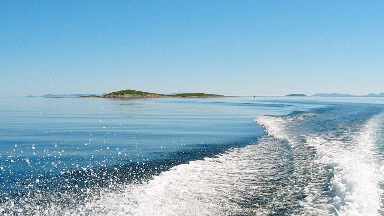 Photo of Others in Skjervoy