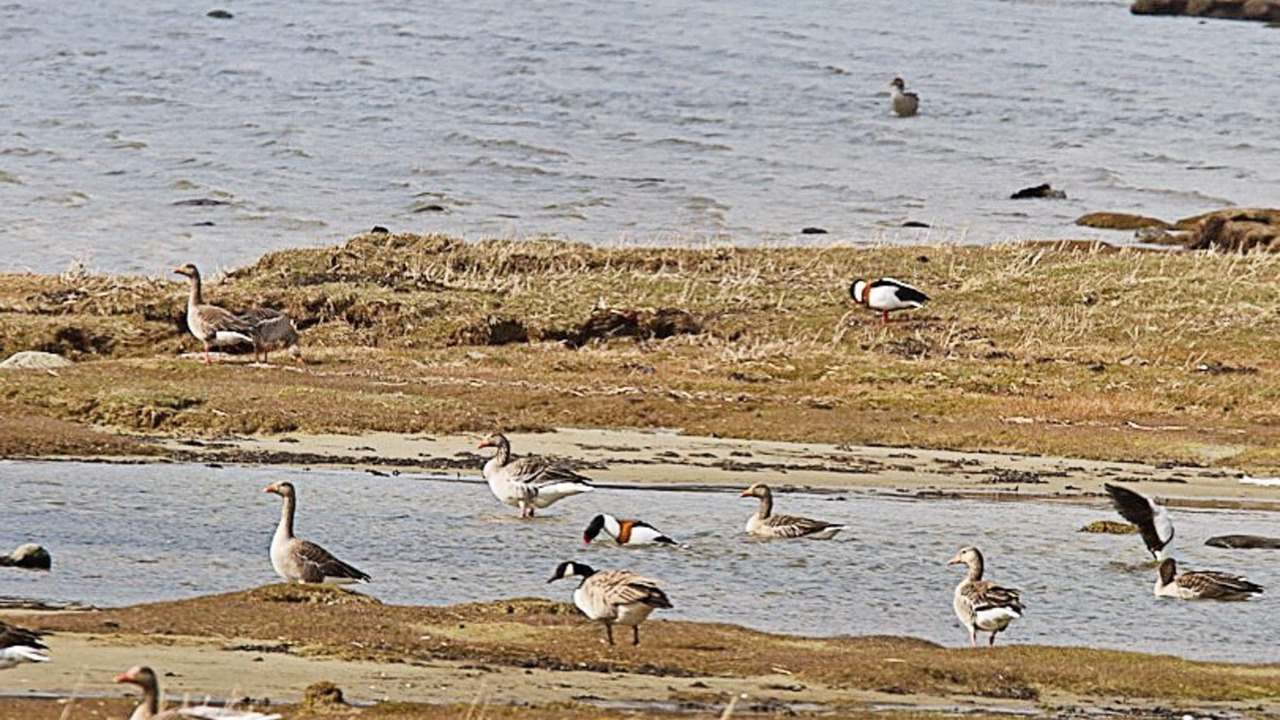 Photo of Others in Varekil