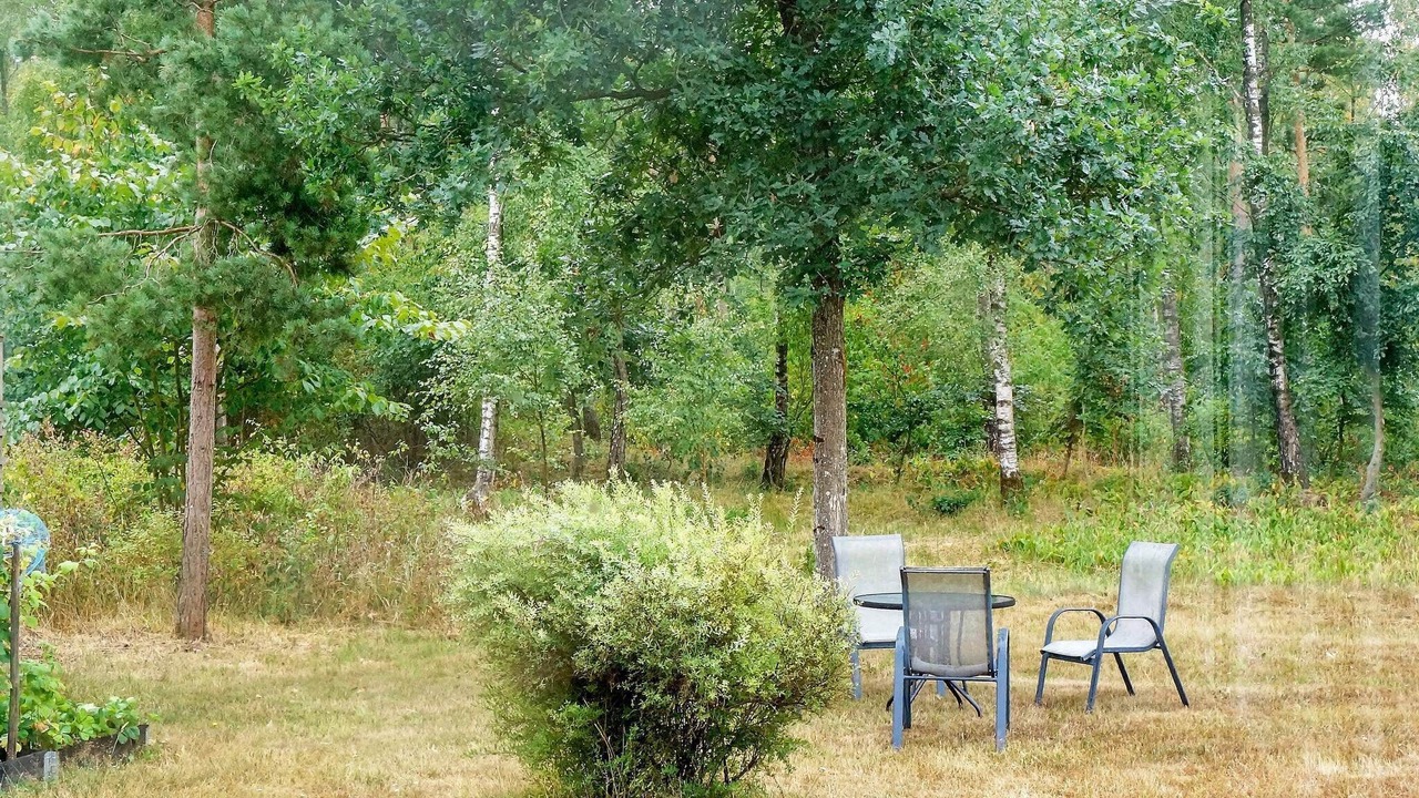 Photo of Others in Laholm