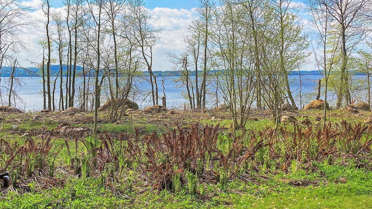 Photo of Outdoor in Braas