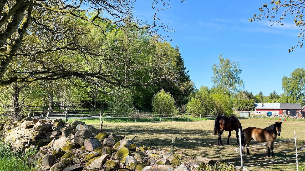 Photo of Outdoor in Klippan