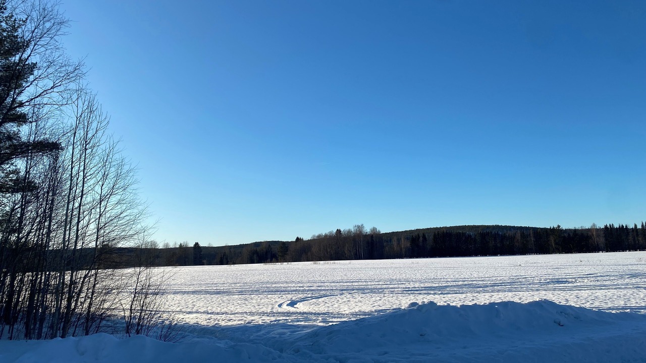 Photo of Others in Umea