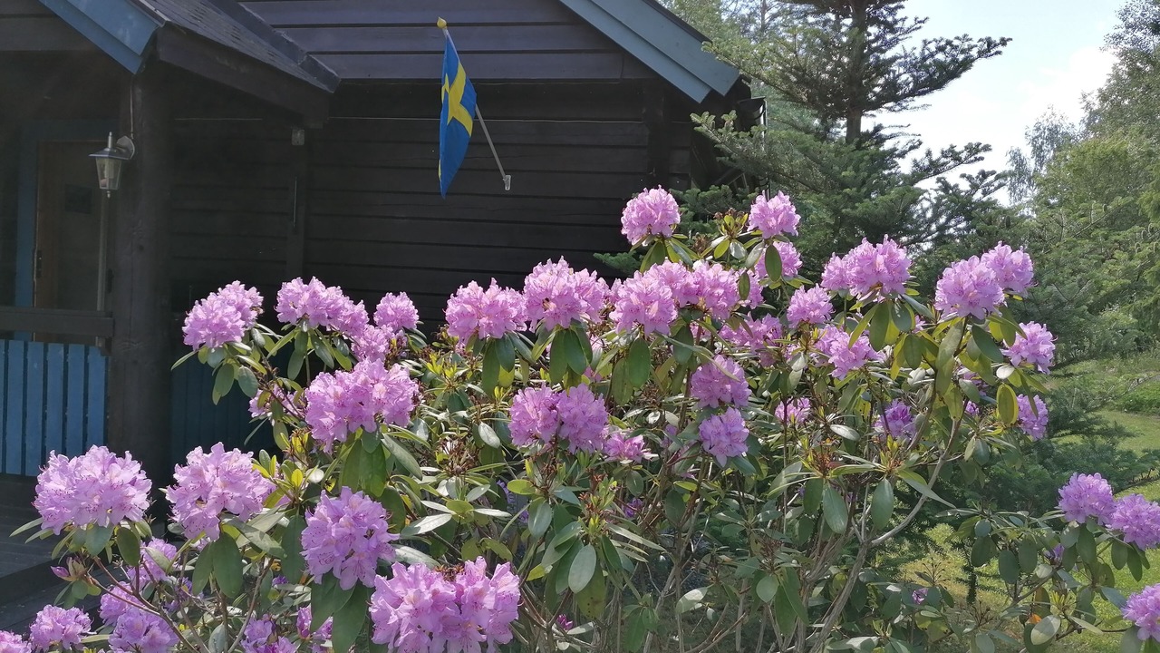 Photo of Outdoor in Norrtalje