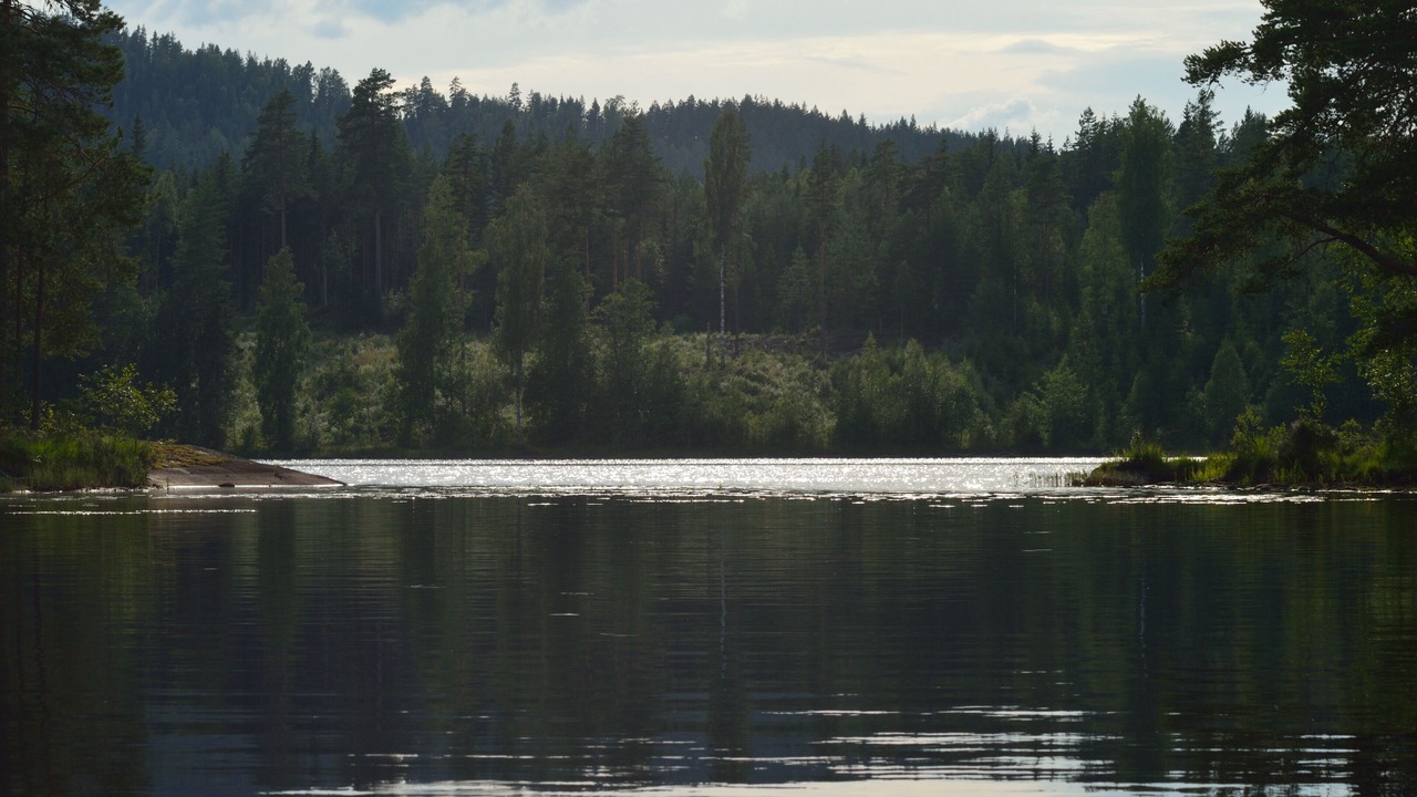 Photo of Outdoor in Torsby O