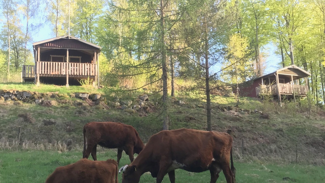 Photo of Outdoor in Hoor Municipality