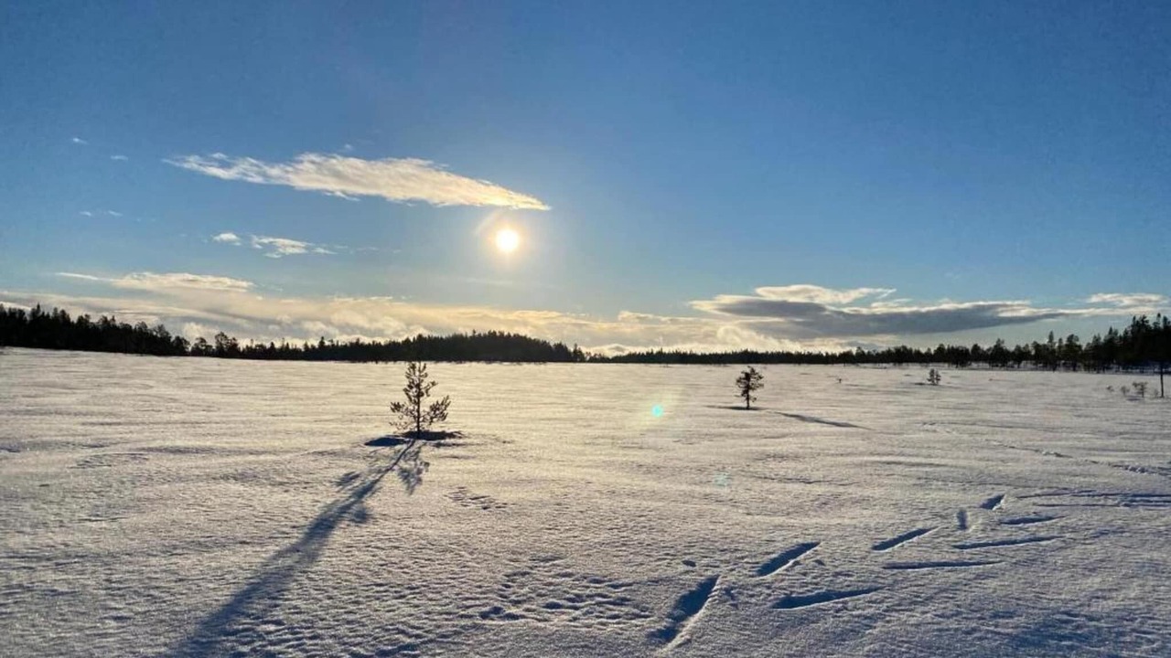 Photo of Others in Letafors