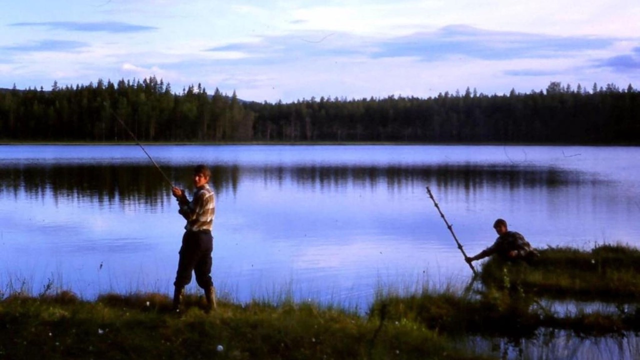 Photo of Others in Letafors