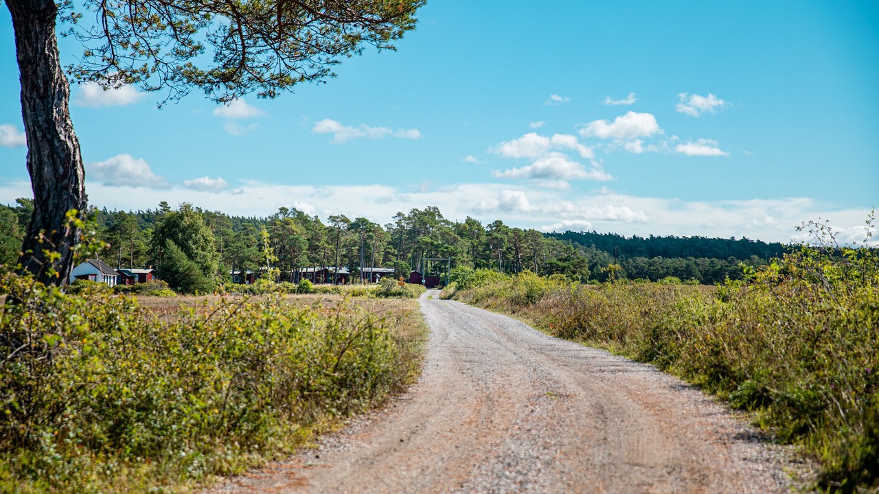 Photo of Outdoor in Tingstade