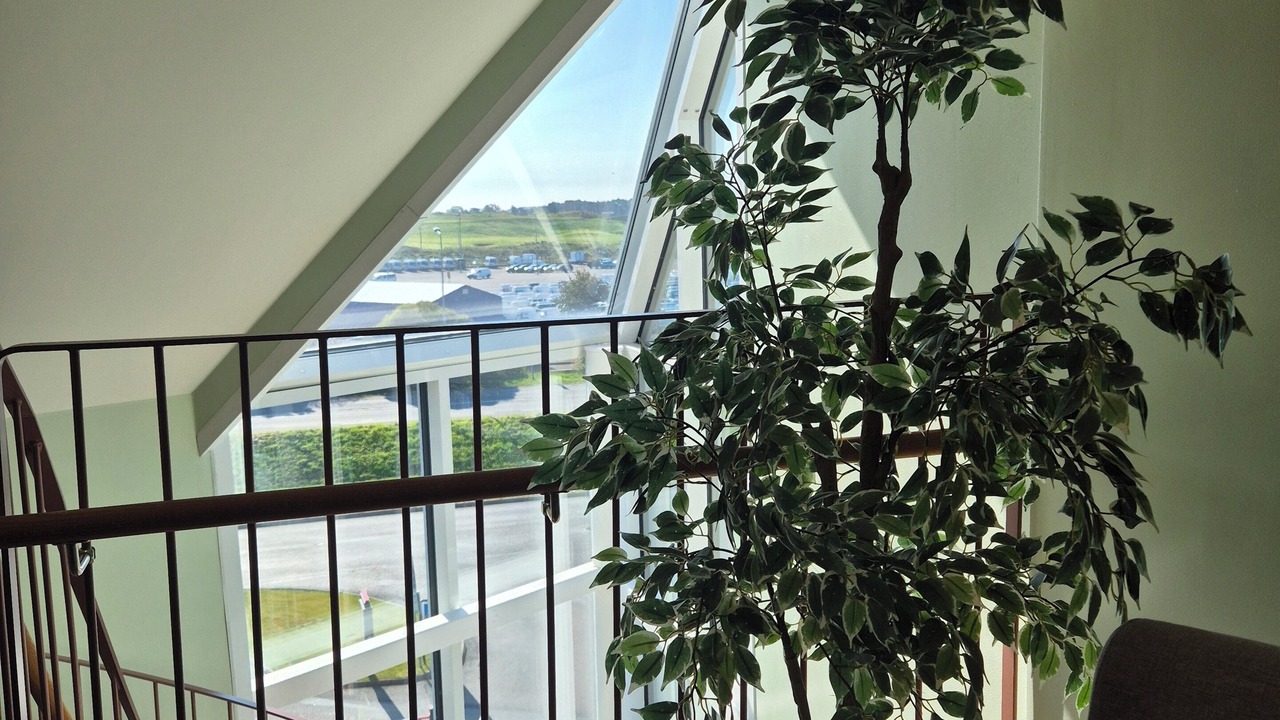 Photo of Others in Torslanda