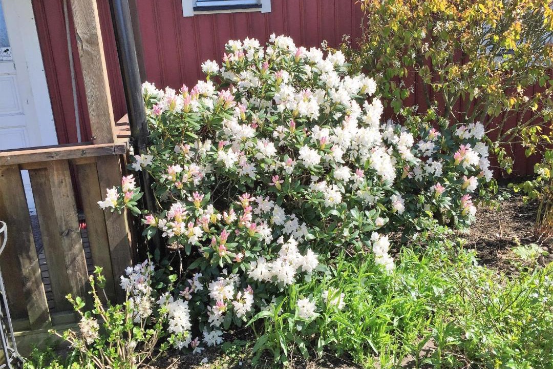 Photo of Outdoor in Klippan