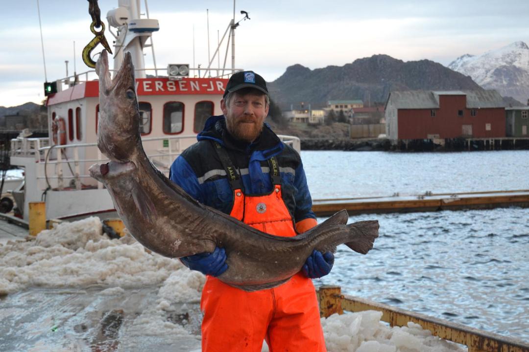 Photo of Others in Ballstad