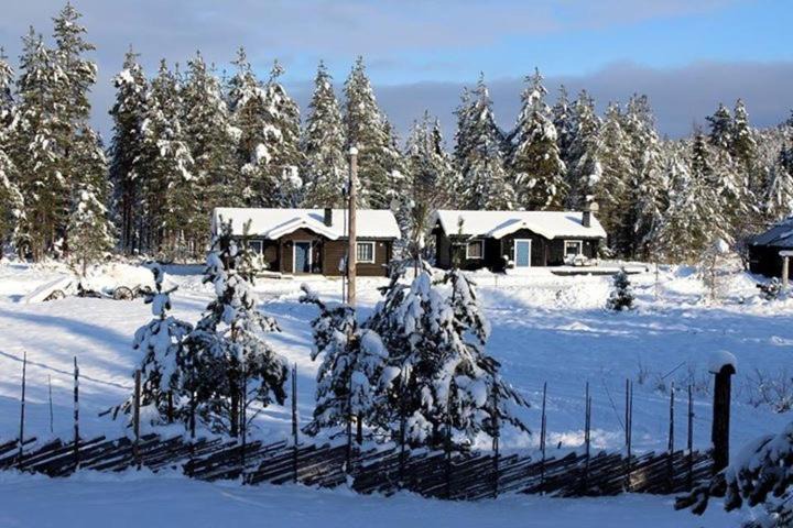 Photo of Others in Stoten