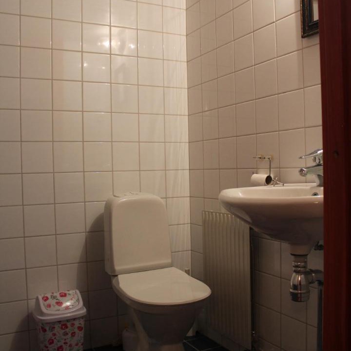 Photo of Others in Svenstavik