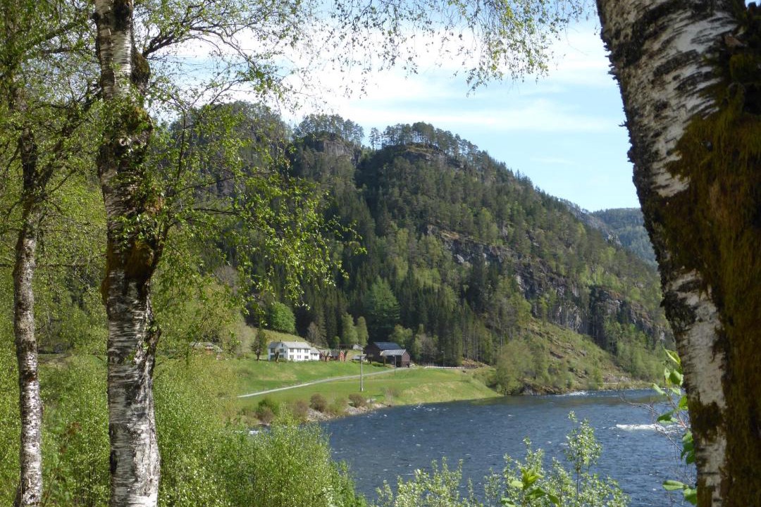 Photo of Others in Bolstadoyri