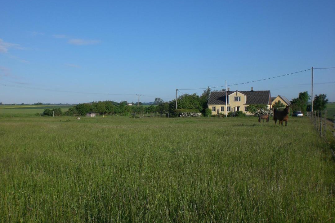 Photo of Others in Borrby