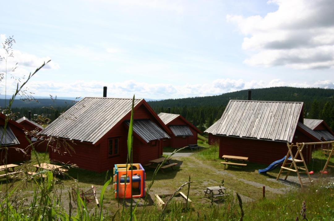 Photo of Others in Lillehammer