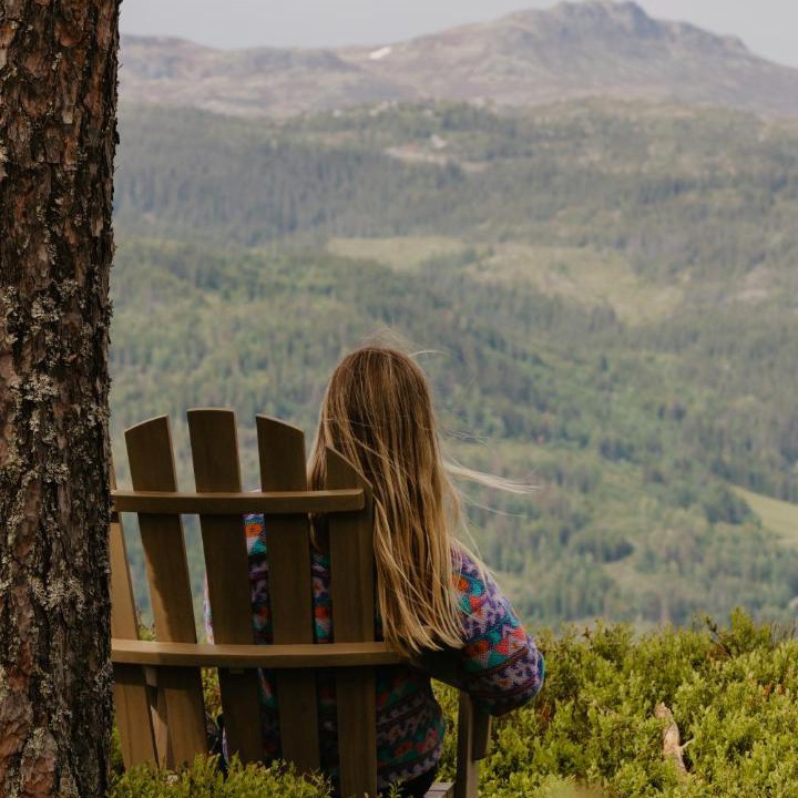 Photo of Others in Sigdal Municipality