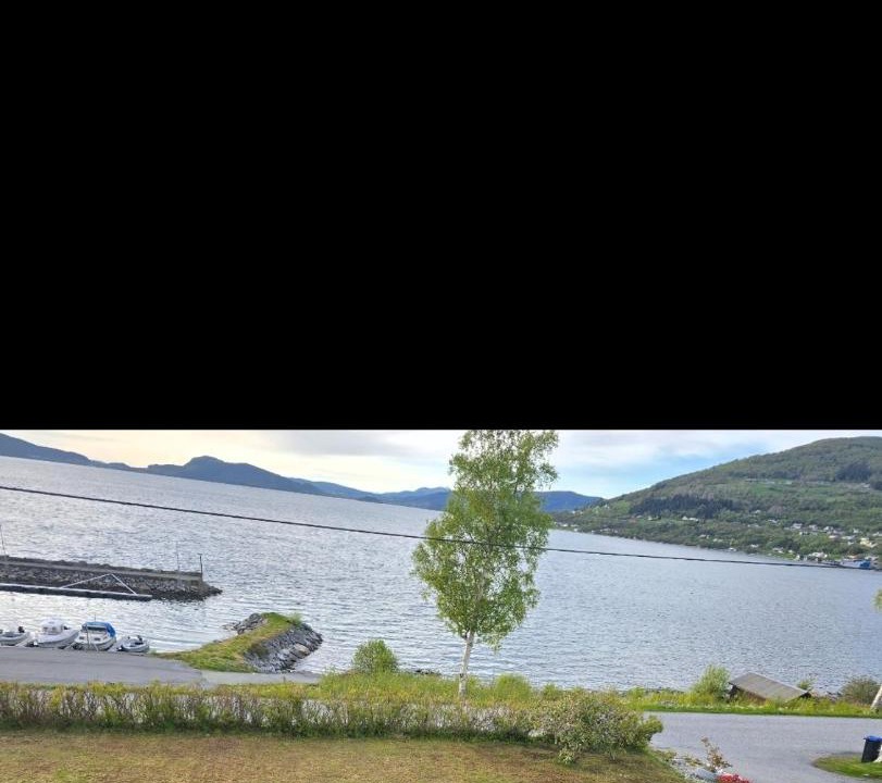 Photo of Others in Hundeidvik