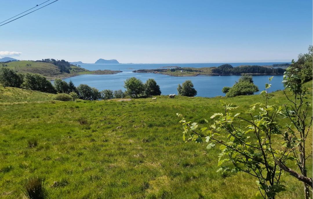 Photo of Others in Tansøy