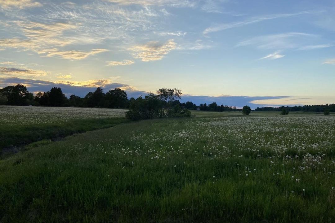 Photo of Others in Orebro County