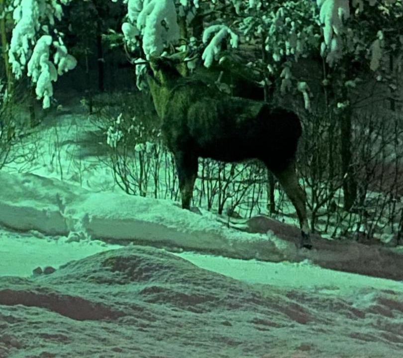 Photo of Others in Orebro County