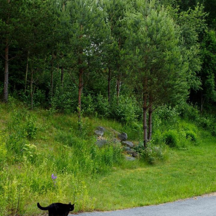 Photo of Others in Orebro County