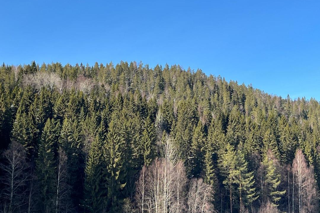 Photo of Others in Tahkovuori