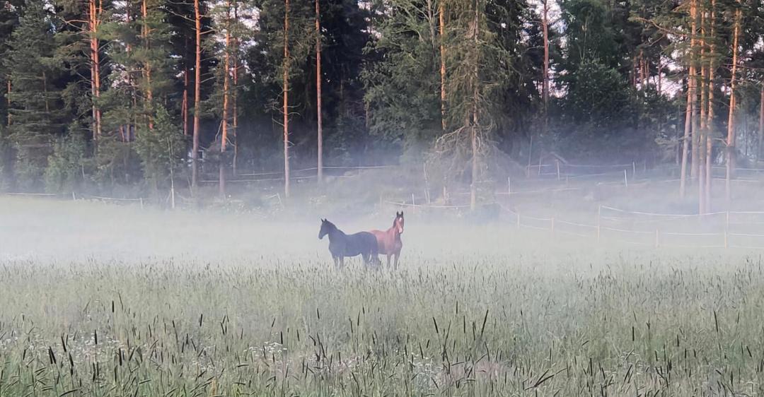 Photo of Others in Valkeakoski
