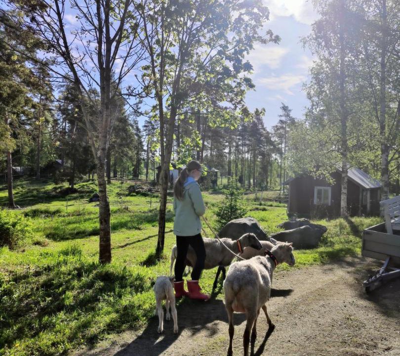 Photo of Others in Valkeakoski