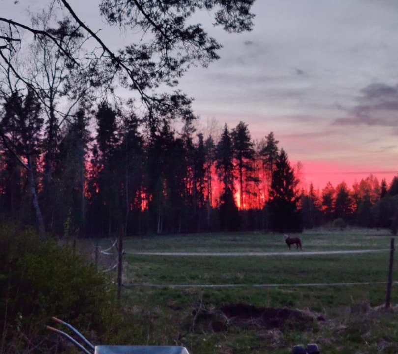Photo of Others in Valkeakoski