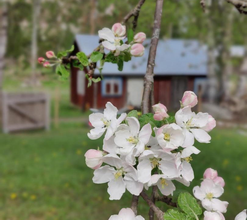 Photo of Others in Valkeakoski