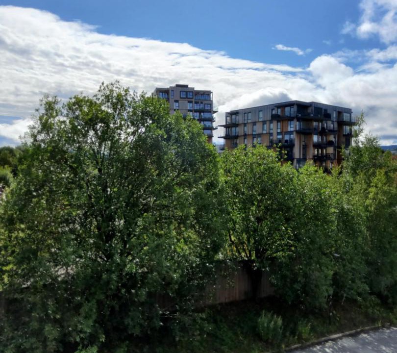 Photo of Others in Trondheim