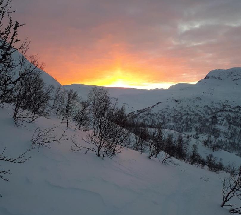 Photo of Others in Voss