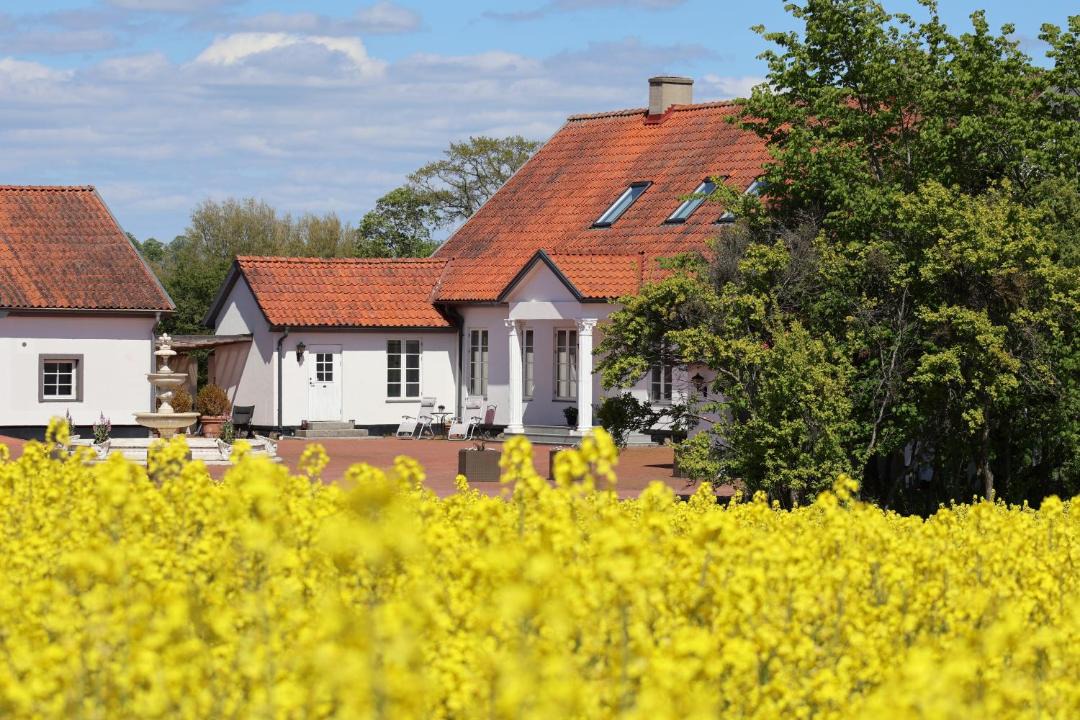 Photo of Others in Alstad