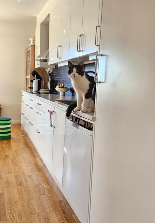Photo of Kitchen in Helsingborg Municipality